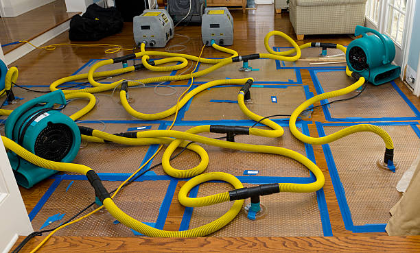 Professional Sewage Cleanup technician working in Dorset, OH